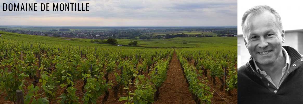 Domaine de Montille, grands vins de Bourgogne à Vosne-Romanée, Volnay, Puligny-Montrachet, Meursault et Corton Charlemagne
