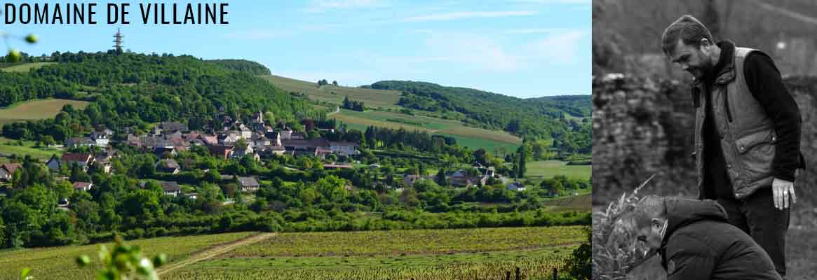 Domaine de Villaine, Vins de Bouzeron, Mercurey, Rully et Santenay