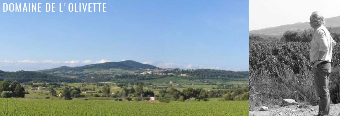 Domaine de L'Olivette, grands vins de Bandol