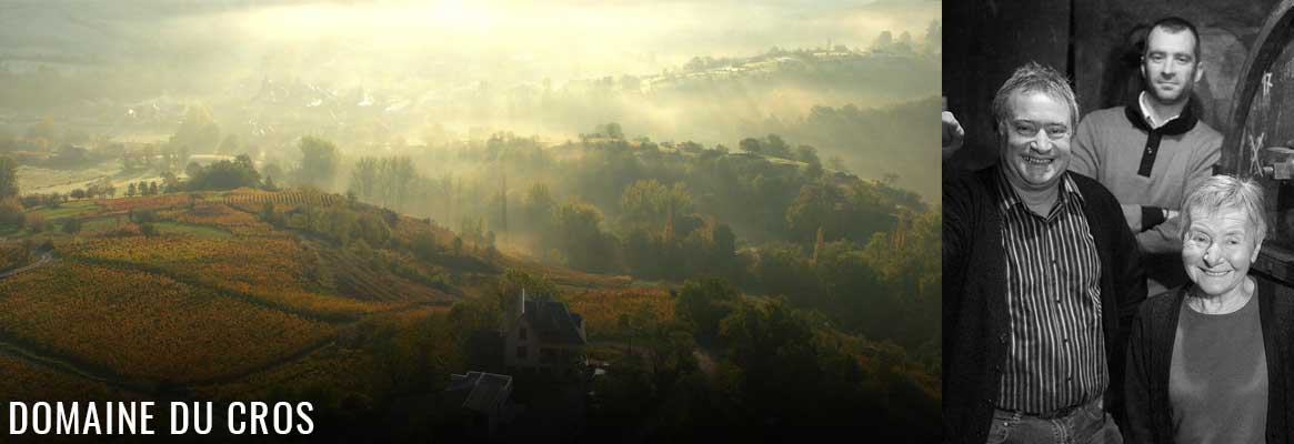 Domaine du Cros, vins de l'AVeyron en AOP Marcillac, cépage Fer Servadou