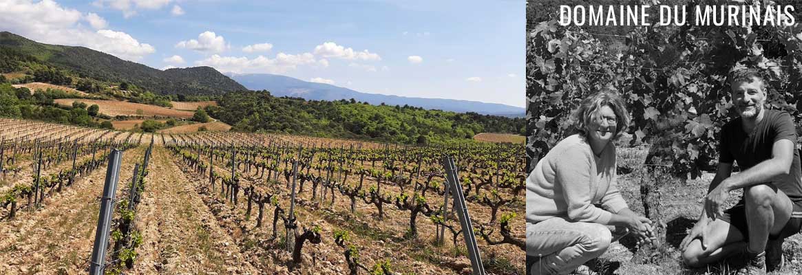 Domaine du Murinais, grands vins de Crozes-Hermitage