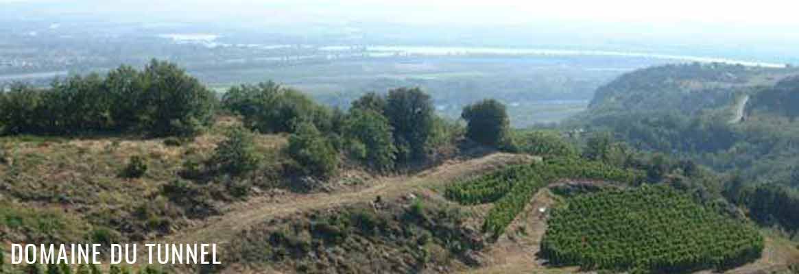 Domaine du Tunnel, vins de Saint-Joseph, Saint-Peray et Cornas