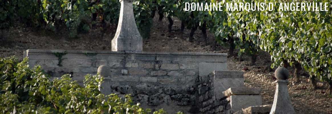 Domaine Marquis d'Angerville, grands vins de Volnay en biodynamie
