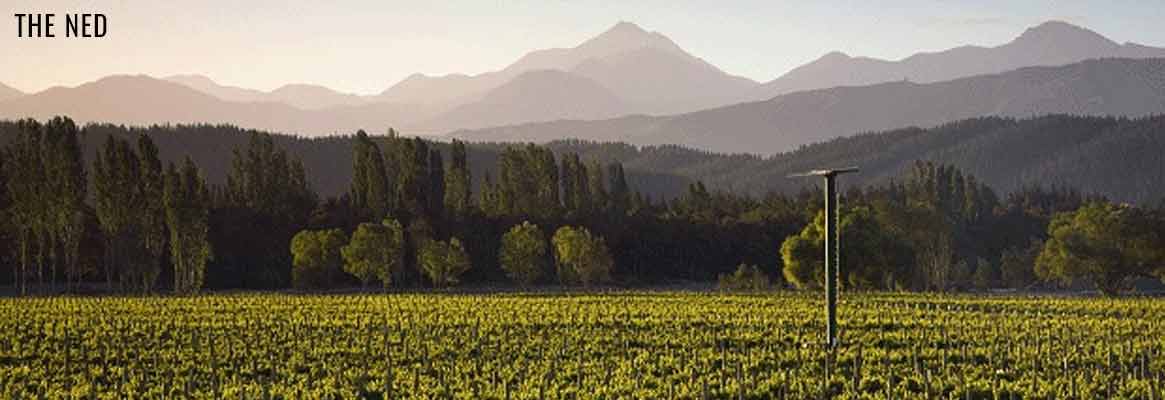 The Ned, vins néo-zélandais de Marlborough