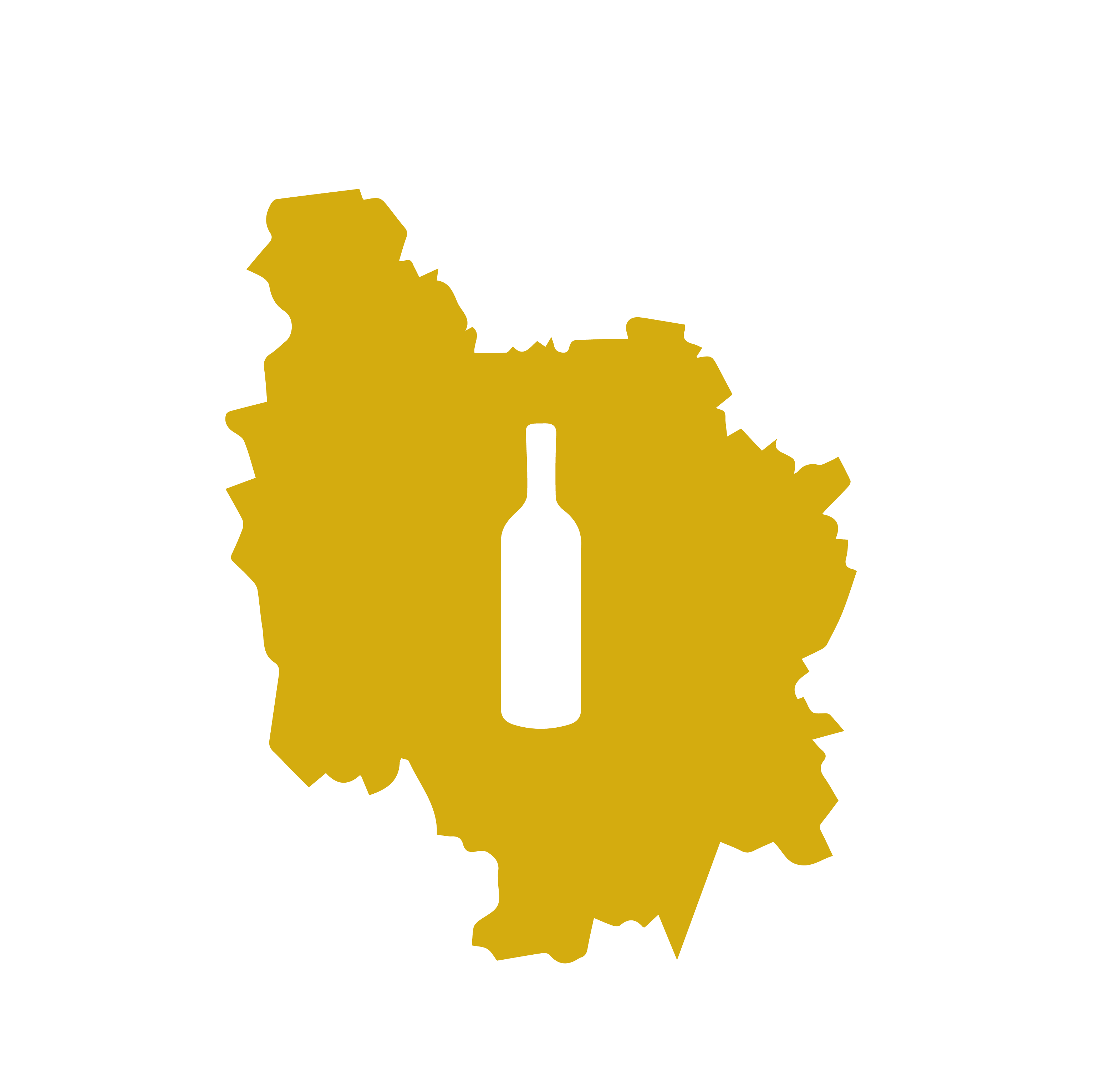 Coffret vin Bourgogne