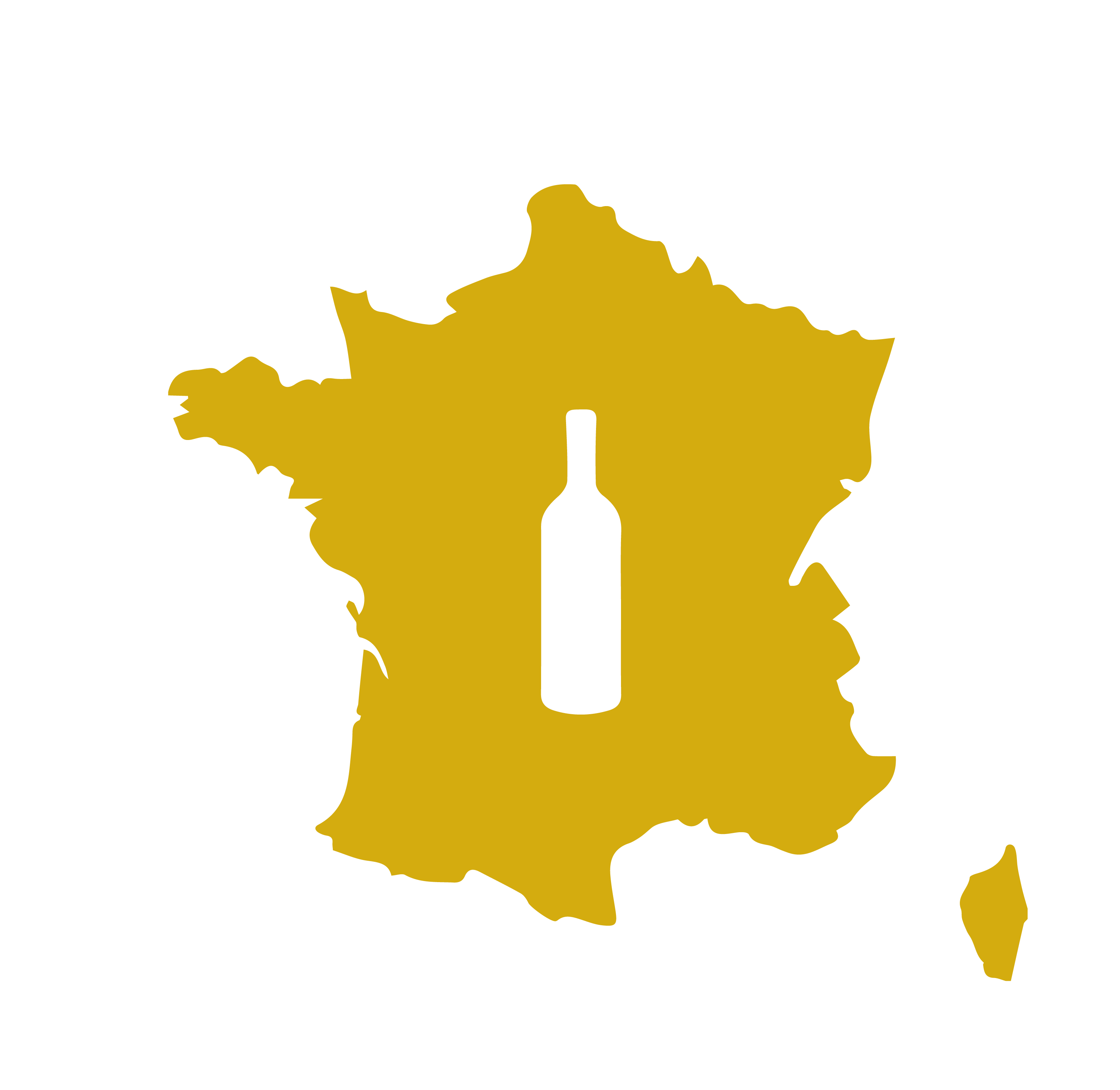 Vins de France