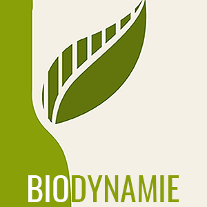 Vins en biodynamie - La Bouteille Dorée Vins en biodynamie - La Bouteille Dorée