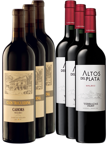 carton découverte Malbec 6 bouteilles carton découverte Malbec 6 bouteilles
