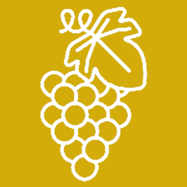 Les vins de Pinotage Les vins de Pinotage