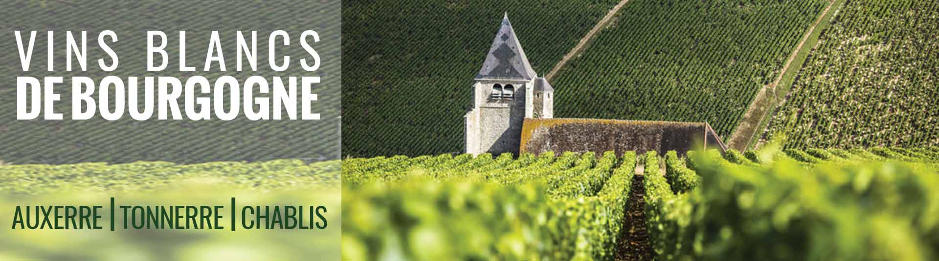 Vins de blancs de Bourgogne Auxerre, Tonnerre et Chablis