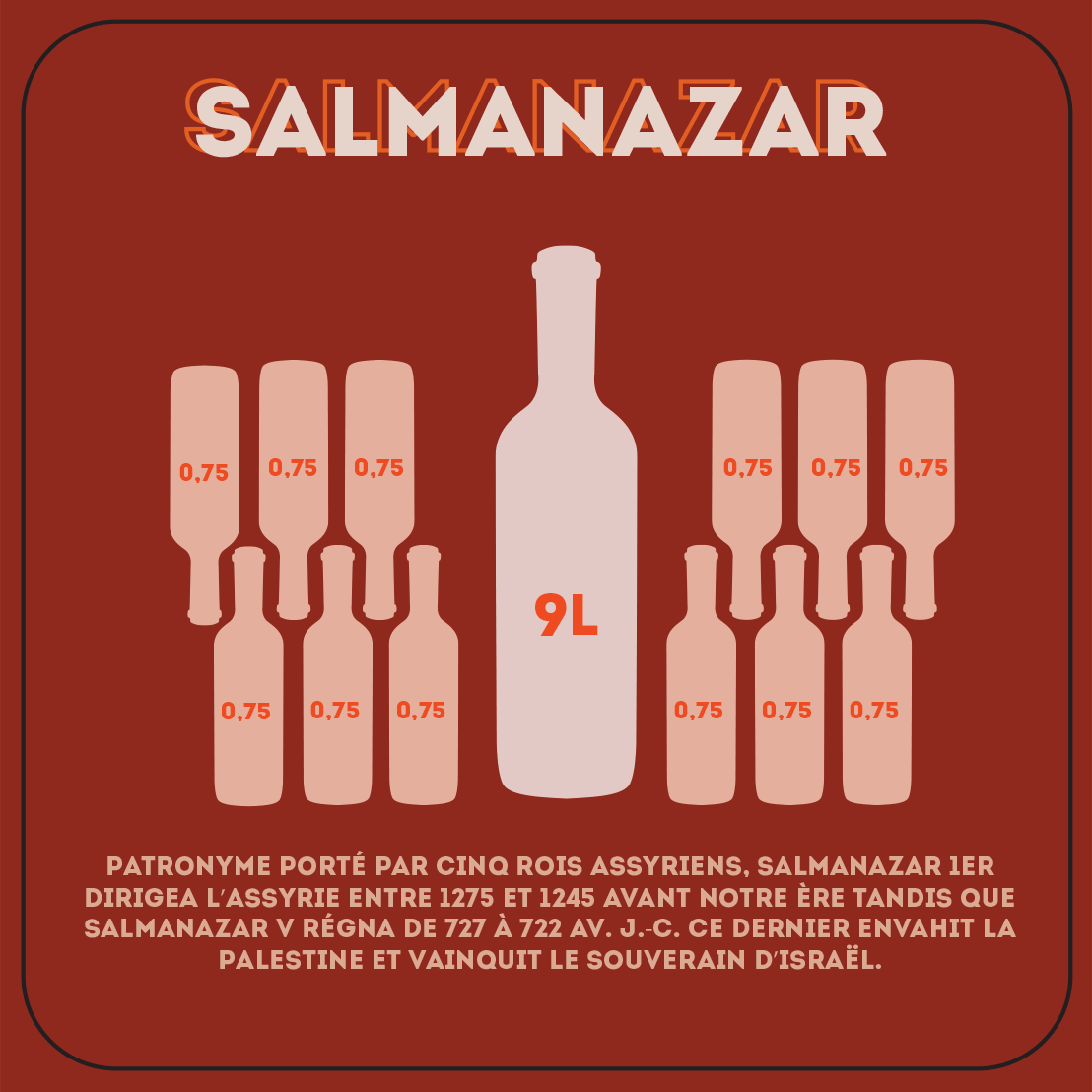 Salmanazar de 9 litres