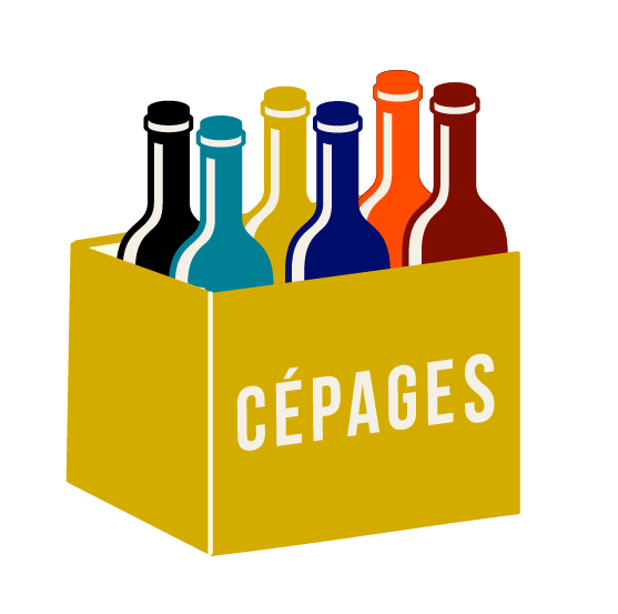 Voir les coffrets à thèmes autour des cépages