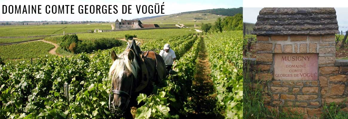 Domaine Comte Georges de Vogüé