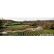 Kistler Vineyards