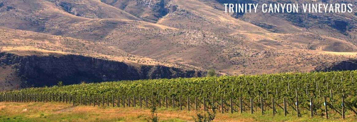 Trinity Canyon Vineyards