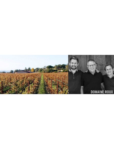 Domaine Rouse DOMAINE ROUX | Vins de Bourgogne | Côte de Nuits, Côte de Beaune, Côte ...