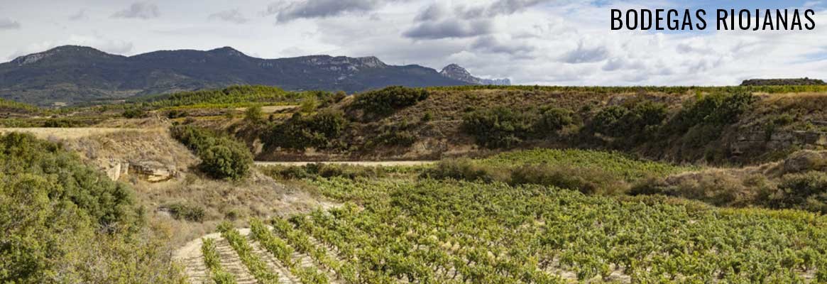 Bodegas Riojanas