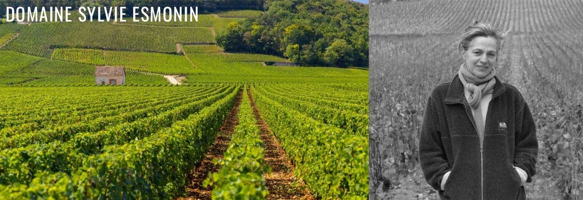 Domaine Sylvie Esmonin