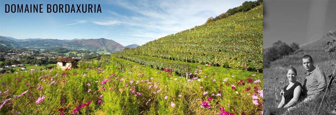 Domaine Bordaxuria