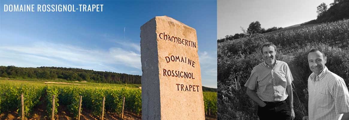 Domaine Rossignol-Trapet