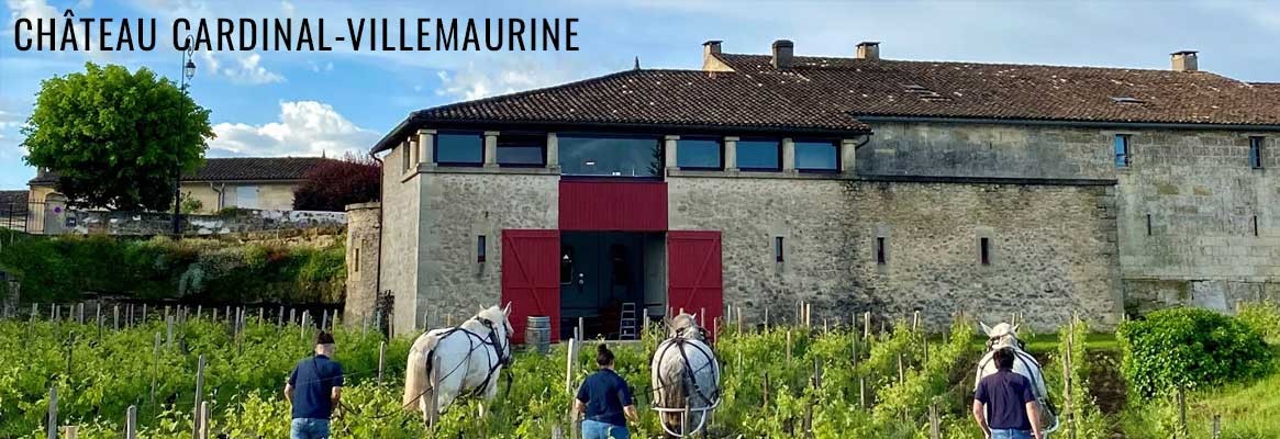 Château Cardinal-Villemaurine