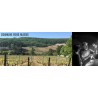 Domaine Rois Mages
